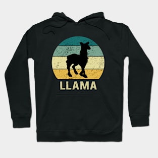Llama At Sunset A Gift For Llama Lovers Hoodie